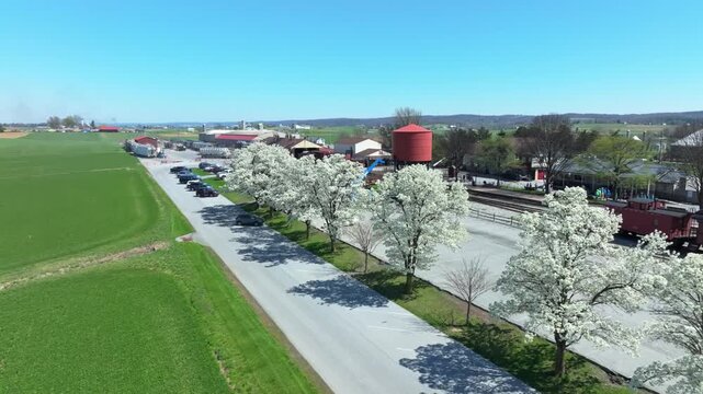 Trees covered in white blossoms line a rural road. The setting features green fields and farm buildings. The sun shines brightly, creating a clear view of the scenery.