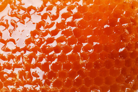 Honeycomb with golden honey as background, closeup