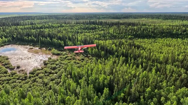 ALASKA - 9.3.2026 - Remarkable aerial footage following a bush pilot flying over Alaskan forested wetlands.