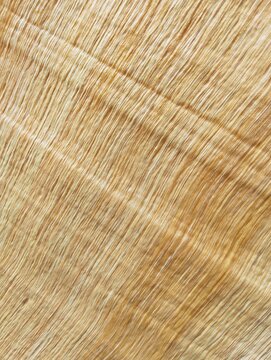 Close up of golden brown natural leaf sheath texture for eco friendly product design.