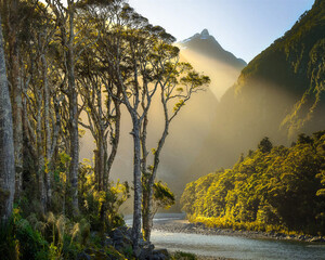 Tall forest trees frame sunlit mountain peaks and golden mist, creating a serene woodland landscape ideal for travel, hiking, nature and peaceful outdoor themes. © UQink