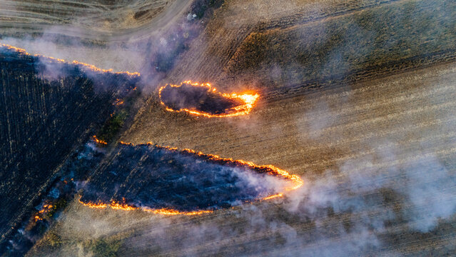 Aerial view of a controlled agricultural field fire burning dry stubble with bright flames and thick smoke rising over the farmland in Sremska Mitrovica, Vojvodina, Serbia.