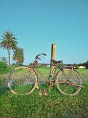 Vintage bicycle stands beside a grassy path with palm trees under a clear blue sky, creating a relaxed outdoor travel scene ideal for cycling, leisure, mobility and lifestyle themes. © UQink