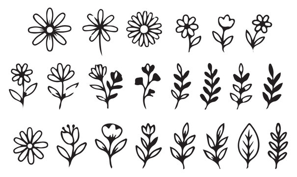 Hand Drawn Floral Botanical Flowers Leaves Graphic Vector Collection.
