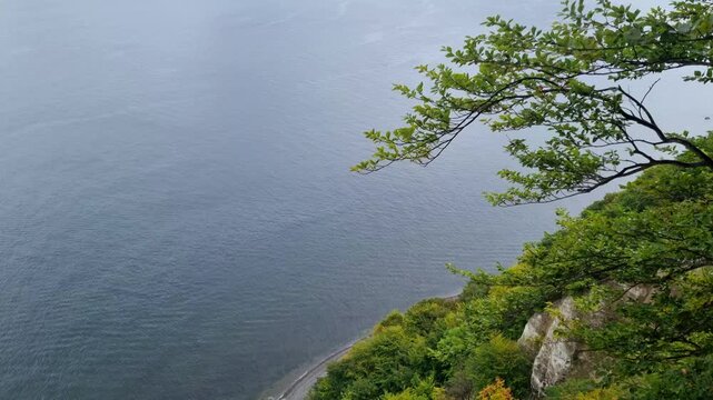 Looking Down a Chalk Cliff to the Beach and Baltic Sea