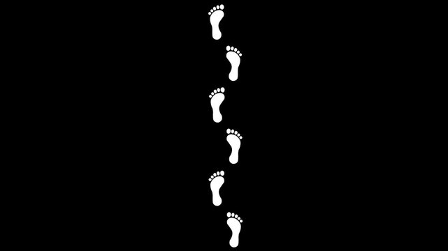 Animated Human Barefoot Footprints Appearing from Bottom to Top, Seamless Walking Path Motion on Transparent white Background animation. Animation of 4k video.