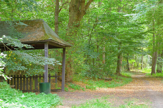 A forest road in the Cybina Valley, a forest rest stop with a distinctive roof.