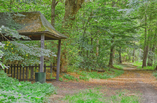 A forest road in the Cybina Valley, a forest rest stop with a distinctive roof.