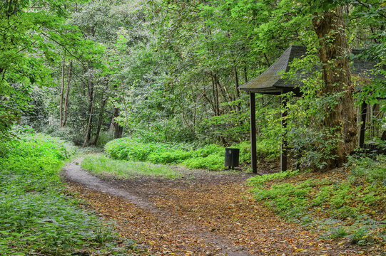 A forest road in the Cybina Valley, a forest rest stop with a distinctive roof.