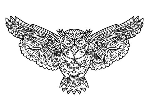 Elegant owl with spread wings intricate line art