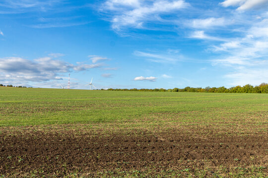 A field with a windmill in the background