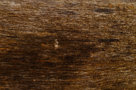 old weathered wood surface texture with natural cracks close up