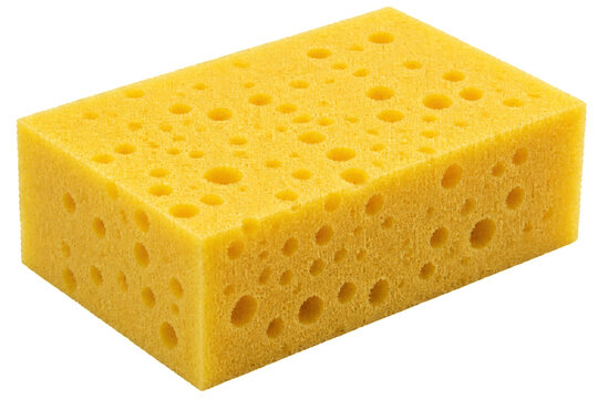 Yellow Sponge on a Plain Background