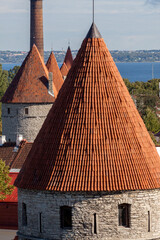 Close-up of conical red-tiled roofs on medieval limestone towers along Tallinn's city wall, Estonia, with the Gulf of Finland visible in the background © Tony Blood