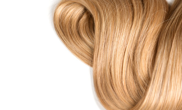 Blond hair curls isolated on white background, lock of hair, healthy and beauty dyed hair border design, backdrop, salon, treatment, cure, dying concept. Close up, top view. 