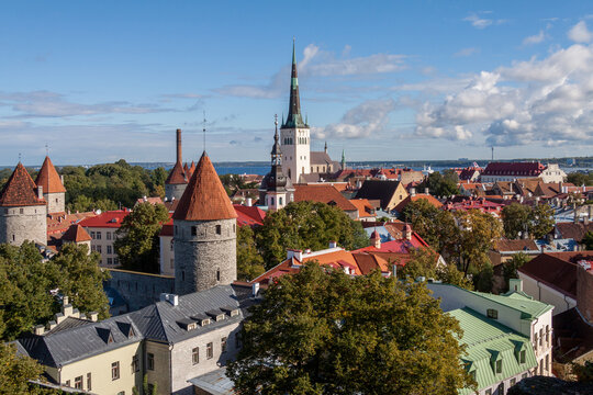 Panoramic skyline view of Tallinn's Old Town, Estonia, with St. Olaf's Church spire rising above red-tiled rooftops and medieval towers toward the Gulf of Finland