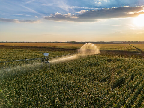 Aerial view of pivot irrigation on corn and sunflower fields in Hungary