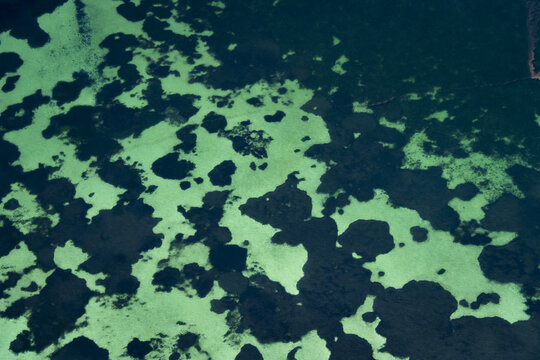 Aerial view of the intricate turquoise and dark blue ocean patterns of the shallow waters in the Shire of Shark Bay, Western Australia, Australia.