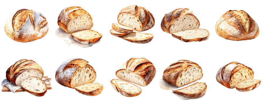 Collection of watercolor sourdough bread loafs and slices arranged on a black background