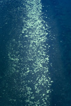 Aerial view of turquoise ocean patterns and coral reefs shimmering in the deep blue water of the Shire of Shark Bay, Western Australia, Australia.
