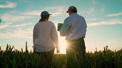 Man, woman shaking hands in wheat field. Farmers shaking hands, working together with tablet, signing contract in wheat field sky sun. Business people working in rural. Business partners. Agricultural © Victoriia
