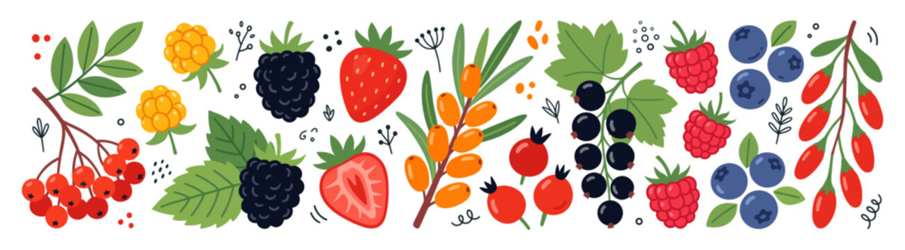 Wild berry banner and set with strawberry blueberry raspberry blackberry blackcurrant and rowan