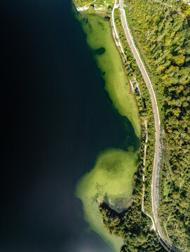 Aerial view of the shoreline of Lake Hallstatt with a railway track running through the dense forest in Hallstatt, Upper Austria, Austria.