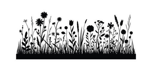 Obraz premium Wildflower silhouette depicts a dense collection of meadow plants against a white background floral grasses blossom botanical vegetation herbage foliage stem leaves petals stalks