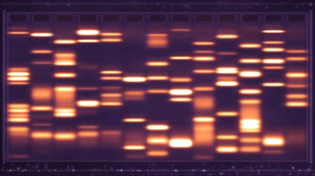 Gel electrophoresis lanes with DNA bands migrating and separating by size under blue transillumination in deep ethidium tones