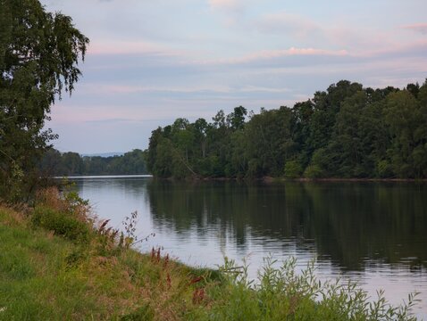 lake and forest