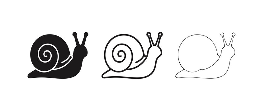 Three stylized snail icons in different design styles isolated on transparent background