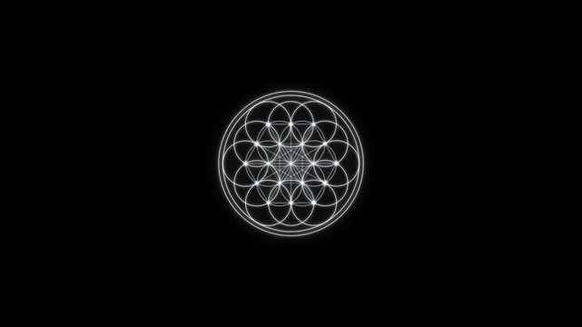White sacred geometry patterns spinning on a black background