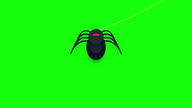 Creepy Spider Crawling Down from Web Vector Animation