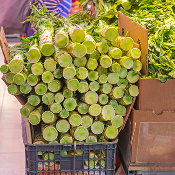 Large Stack of Chinese Stem Lettuce Celtuce in Crate at Farmers Market Hong Kong