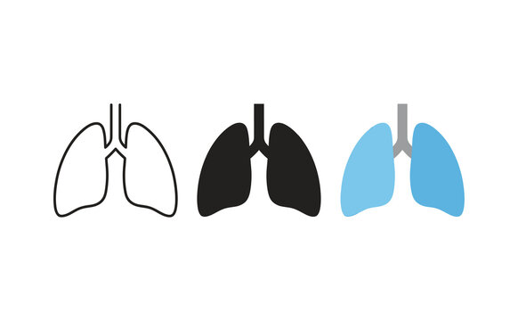 Minimalist human lungs vector icons set in outline, solid, and blue graphic styles