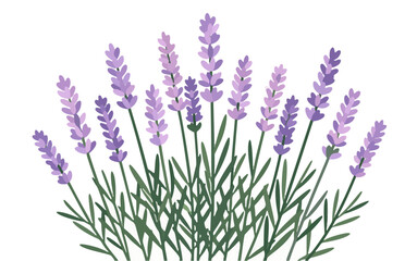 Fototapeta premium Flat design of tropical plants for nature-themed decoration and backgrounds.