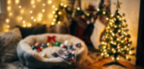 Fototapeta premium Blurred Cozy Christmas Living Room with Pet Bed and Decorated Tree