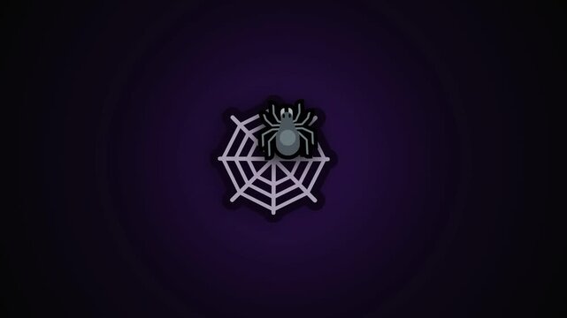 illustration video of a spider web