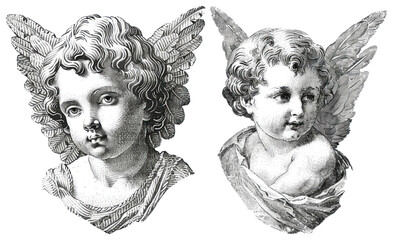 Obraz premium PNG Vintage cherub angel illustrations, transparent background