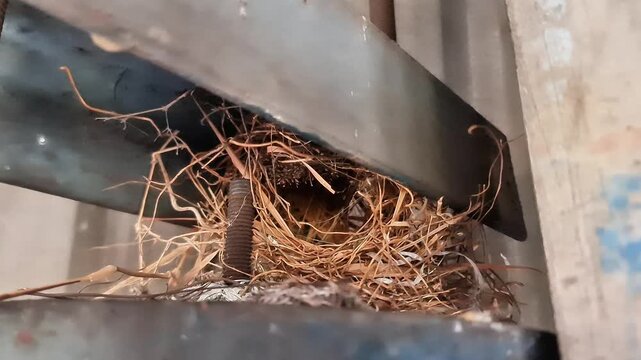 A tiny bird nest made of dry grass and twigs tucked safely near rusty steel bolts and industrial metal structures.