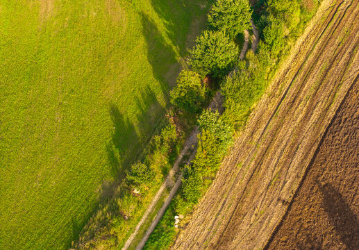 Aerial view of the Kashubia region featuring a green meadow, a dirt path lined with trees, and a plowed brown field under soft sunlight, Pomeranian Voivodeship, Poland.