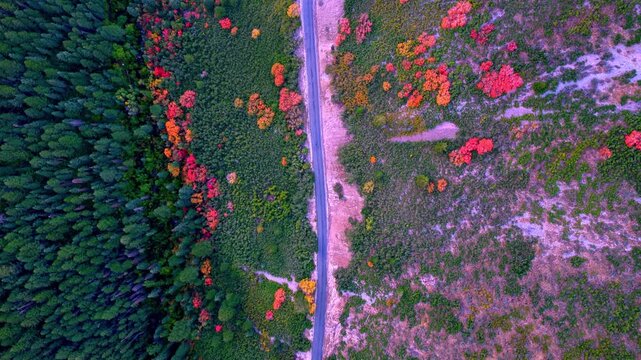 Top down aerial flyover of a road cutting through the mountains during autumn in Utah's Unita