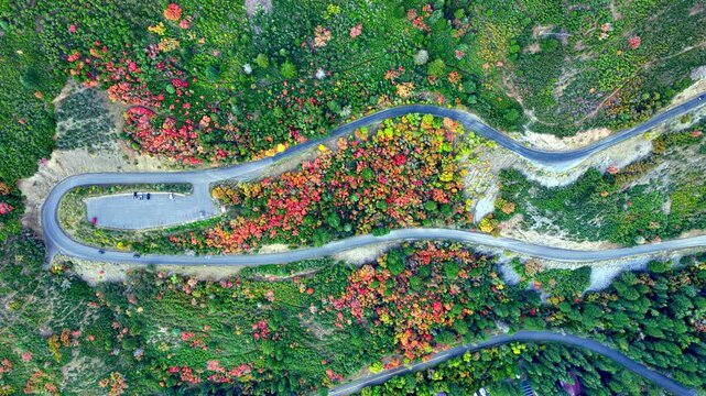 Switchback on a winding mountain road in the Wasatch Mountains of Utah as autumn colors appear