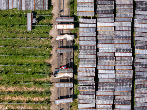 Aerial view of workers drying noodles on racks in a field in Polanharjo, Central Java, Indonesia.