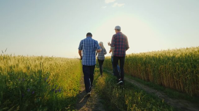 Four farmers walking through a golden wheat field at sunset, discussing crop growth and agricultural plans.