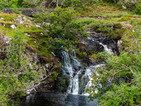 Water cascading over dark rocky ledge into dark pool below, framed by lush green trees, moss, and heather on Scottish hillside slope