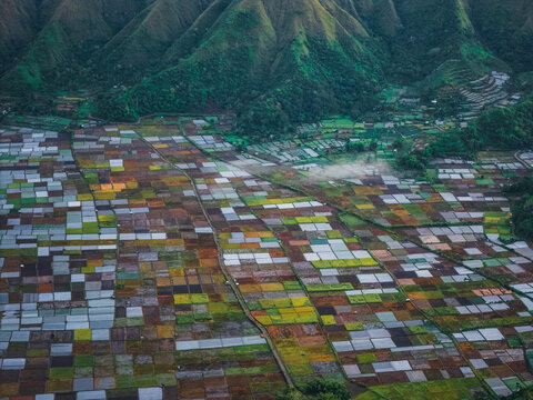 Aerial view of the agricultural basin in Sembalun, featuring colorful patchwork fields at the foothills of Mount Rinjani in Sembalun, West Nusa Tenggara, Indonesia.