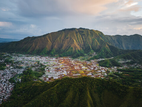 Aerial view of the Sembalun agricultural basin at the foothills of Mount Rinjani with patchwork fields and lush slopes under a cloudy sky in Sembalun, West Nusa Tenggara, Indonesia.