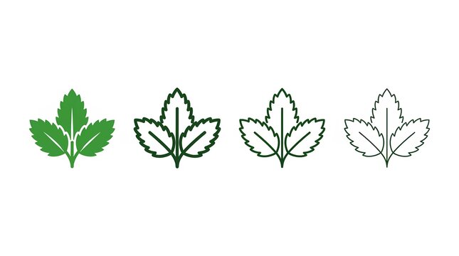 Green mint leaf herb icons with multiple stroke weights.