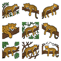 Obraz premium Jaguar animal poses tree illustration set jungle nature